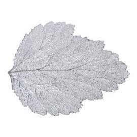 Manteles individuales Aspen